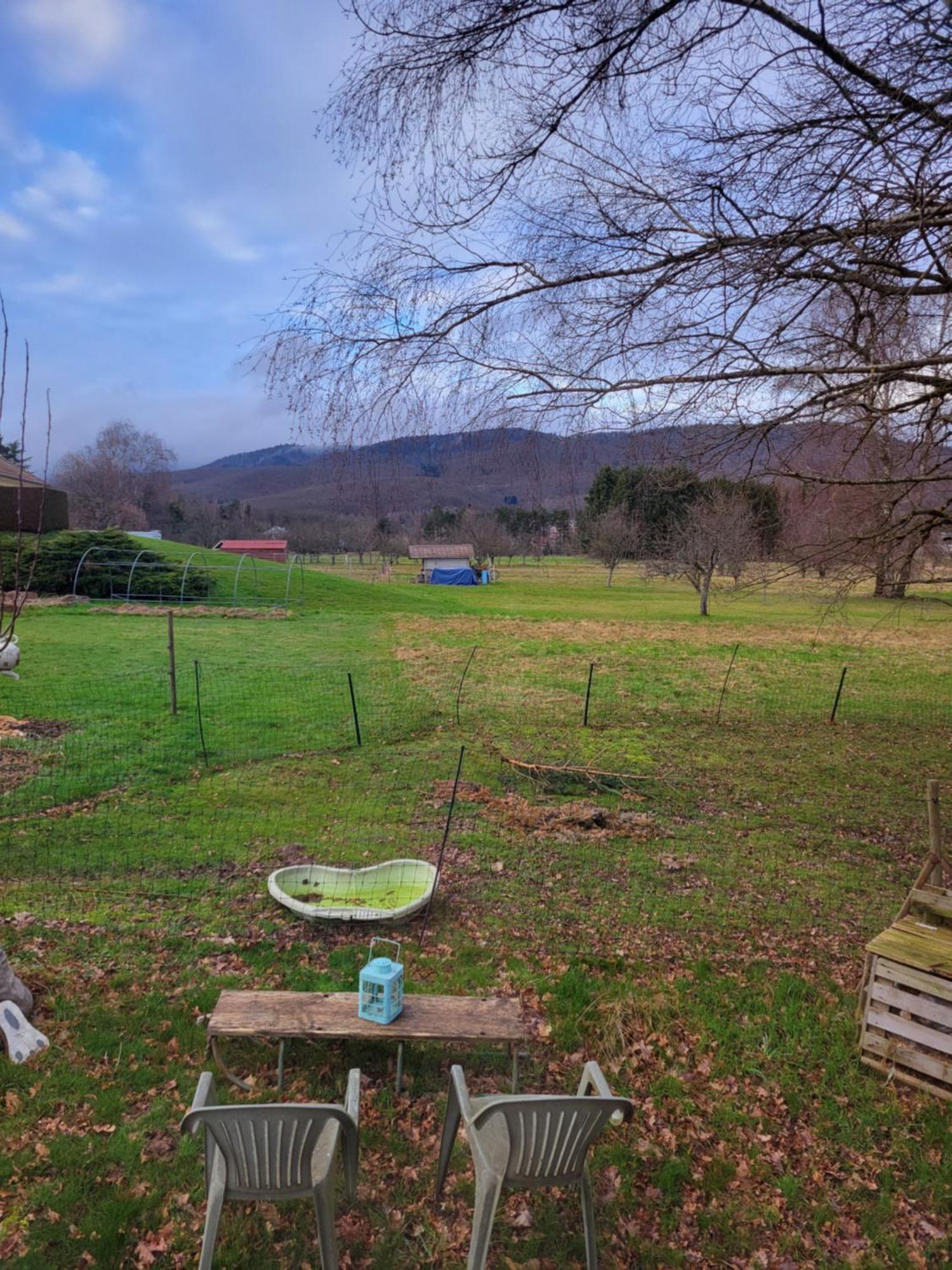 La Roulotte Tiny House Du Mond'Ideal Leval  客房 照片